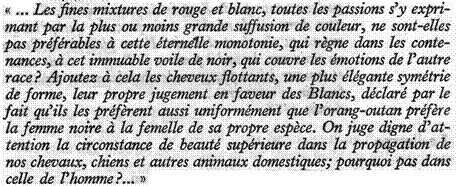 121a-Notes Virginie.jpg